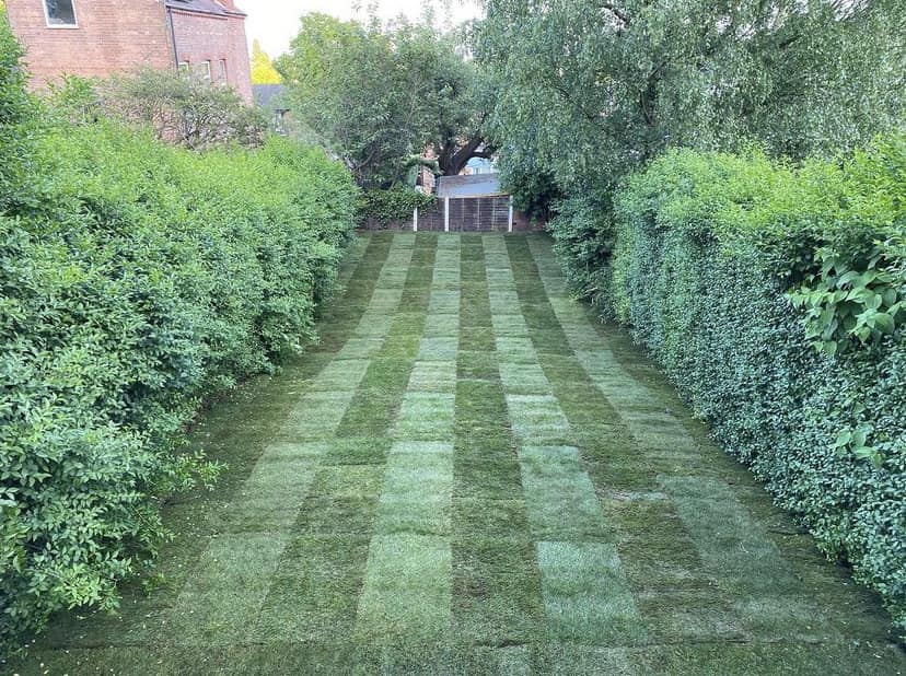 Artificial Grass & Turfing